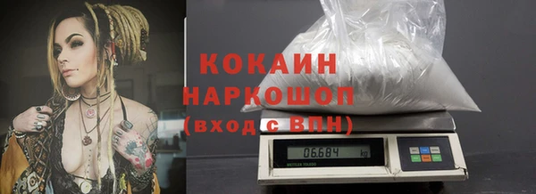 хмурый Алзамай