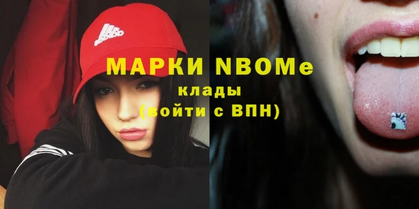хмурый Алзамай