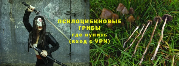метадон Алексеевка