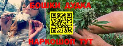 прущие грибы Пенза