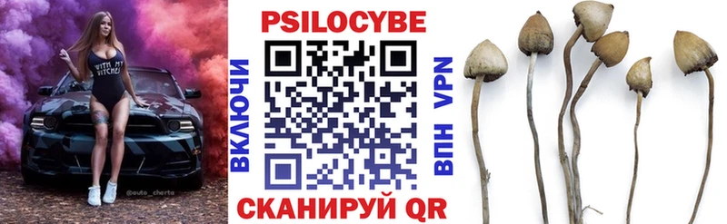 Псилоцибиновые грибы прущие грибы  сколько стоит  Самара 