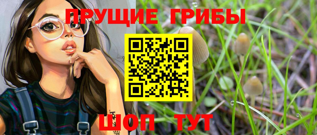 Псилоцибиновые грибы ЛСД Самара