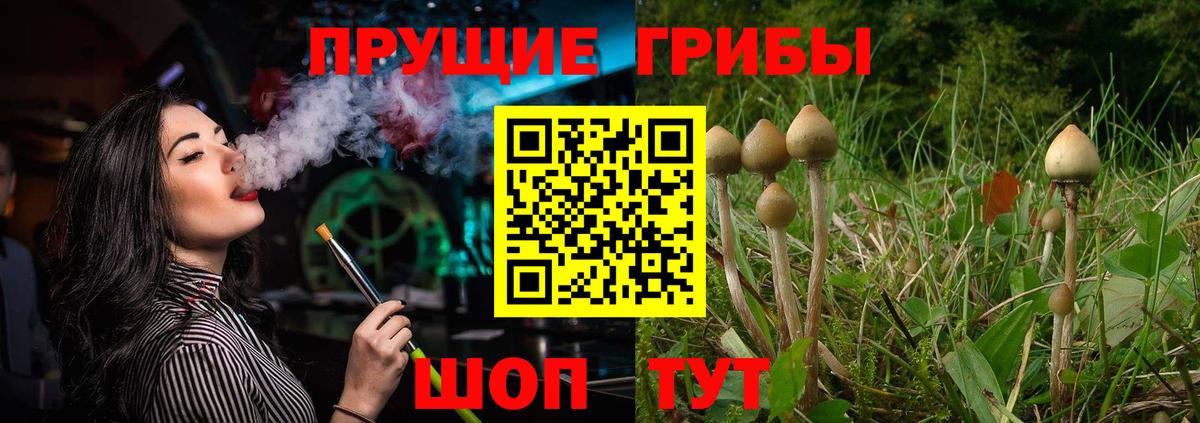 Самара  Псилоцибиновые грибы мухоморы  Вход с VPN 